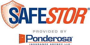 SafeStor logo